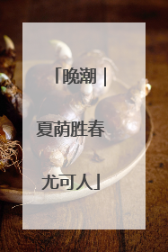 晚潮｜夏荫胜春尤可人